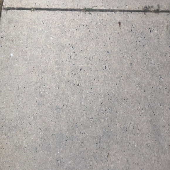 Meet your Posher, Patrick - Picture 1 of 1